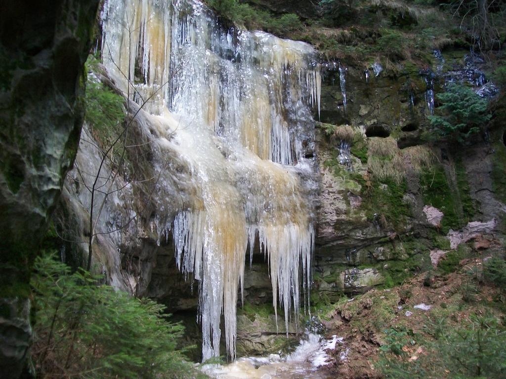 Ferienwohnung Zum Lilienstein Bad Schandau Bagian luar foto
