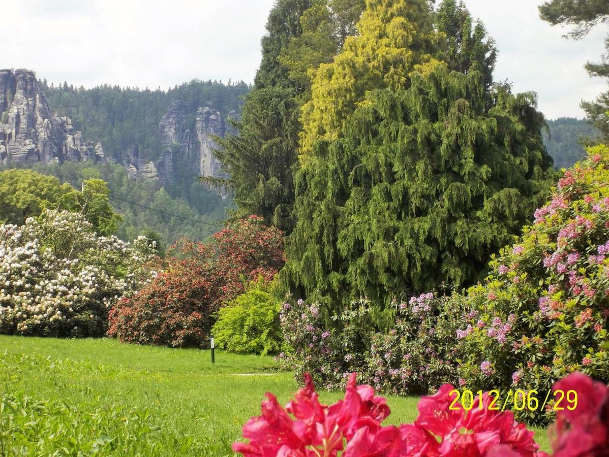 Ferienwohnung Zum Lilienstein Bad Schandau Bagian luar foto